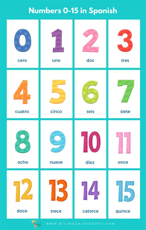 number 15 in spanish